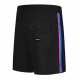 Hlače Mystic THE WILD ROSE Boardshords 18'' - 900 Black