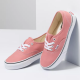 Vans AUTHENTIC - Rosette-True White