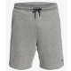 Quiksilver ESSENTIALS Sweat Shorts - Light Grey Heather
