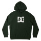 DC STAR Hoodie - Mountain View