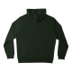 DC STAR Hoodie - Mountain View