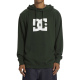 DC STAR Hoodie - Mountain View