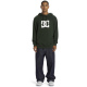 DC STAR Hoodie - Mountain View