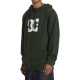 DC STAR Hoodie - Mountain View