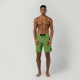 Hlače Mystic BRAND Boardshorts - 618 Soft Green