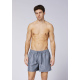 Chiemsee JUMPER Boardshorts - 18-3912 Grisaille