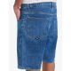 Hlače Quiksilver AQUA CULT kratke - Aged