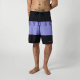 Hlače Mystic PROFILE Boardshorts - 438 Iris Blue