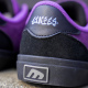 Etnies LOCUT VULC X WERKA - Purple